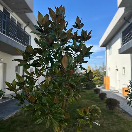 Family-Friendly Apartment With One Bedroom And Separate Living Area, Access To The Garden, Donilads Properties - Home Everywhere Relax & Nature Escape Două Mai