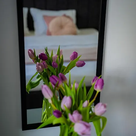 Apartment Family-Friendly Apartment With One Bedroom And Separate Living Area, Access To The Garden, Donilads Properties - Home Everywhere Relax & Nature Escape Două Mai