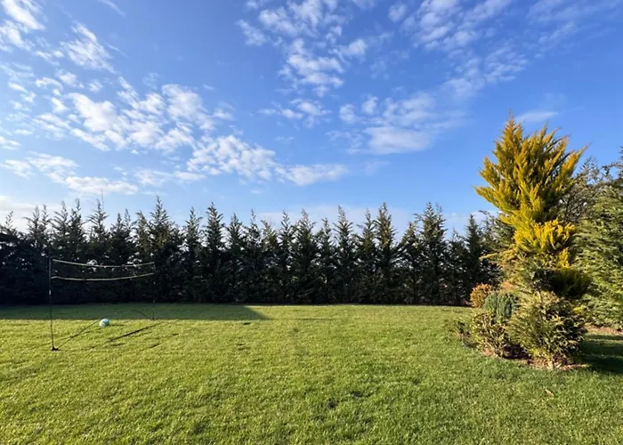 In 2 Mai,quiet,spacious,garden,separate Bedroom - Donilads - Everywhere Apartament